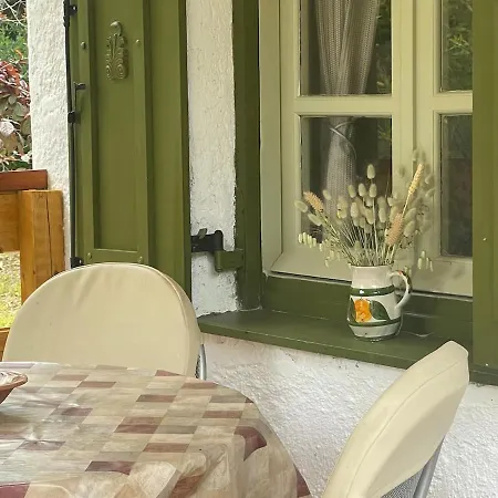 Peaceful Garden In The Forest Casa vacanze *