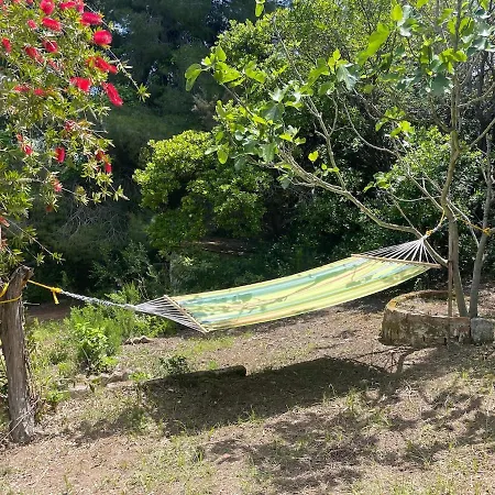 Casa vacanze Peaceful Garden In The Forest *