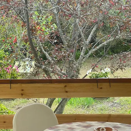 Peaceful Garden In The Forest Casa vacanze *