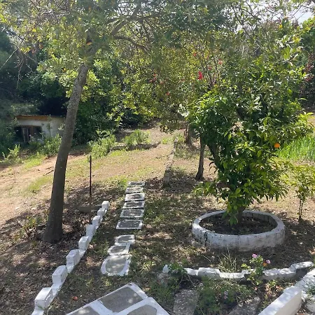 Casa vacanze Peaceful Garden In The Forest *
